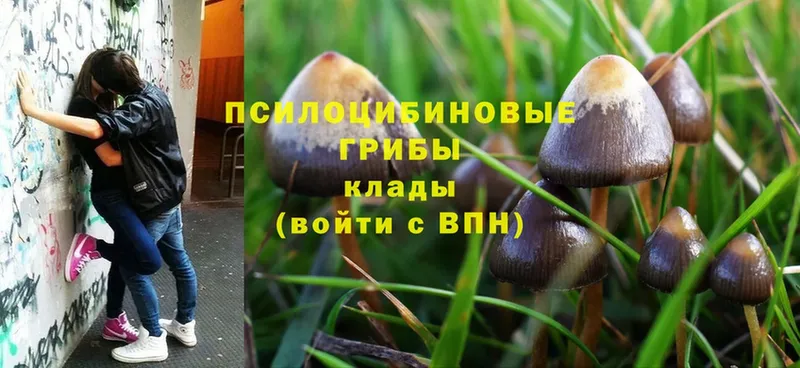 Галлюциногенные грибы MAGIC MUSHROOMS  Анадырь 